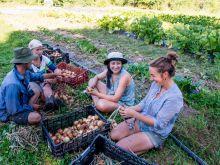 Find and support credit unions, land trusts, worker-owned co-operatives, and community supported agriculture (CSAs) near you.